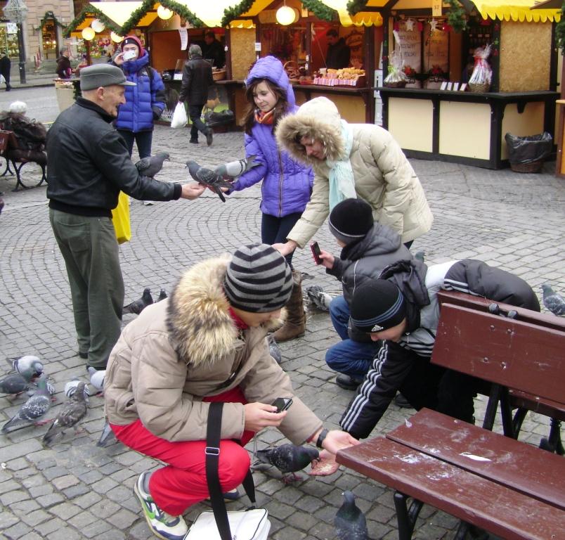 DSC00034.JPG