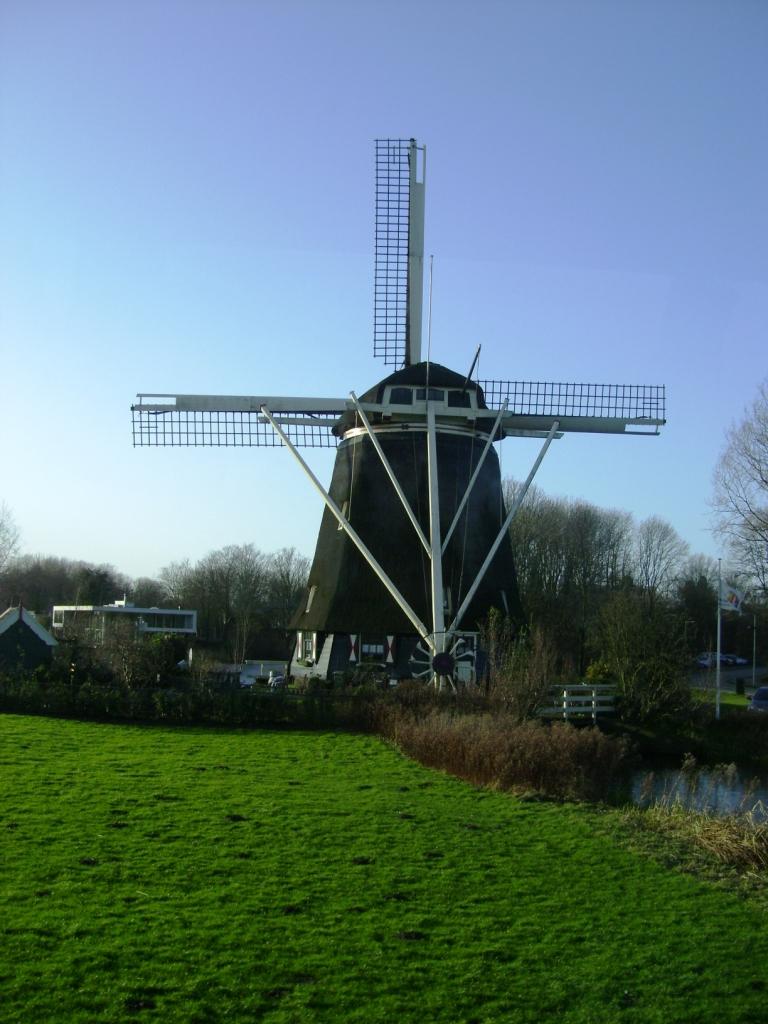 DSC00114.JPG