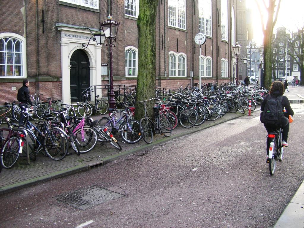 DSC00156.JPG