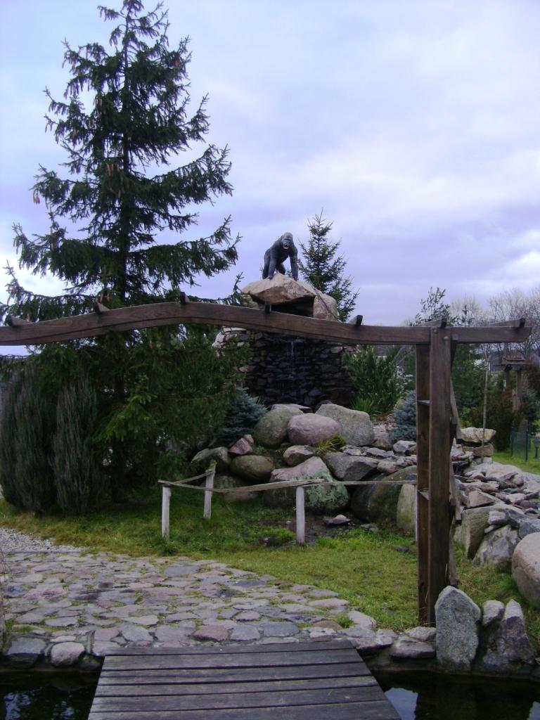 DSC00367.JPG