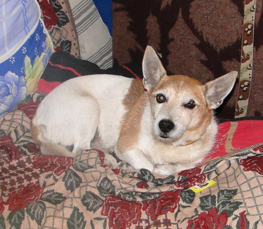 DSC04652.JPG
