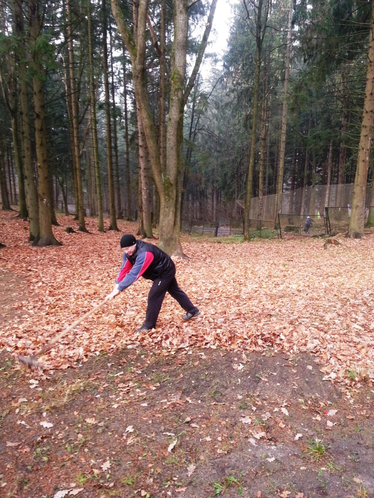 20141108_103946.jpg