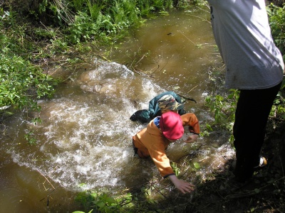 P1010074.JPG